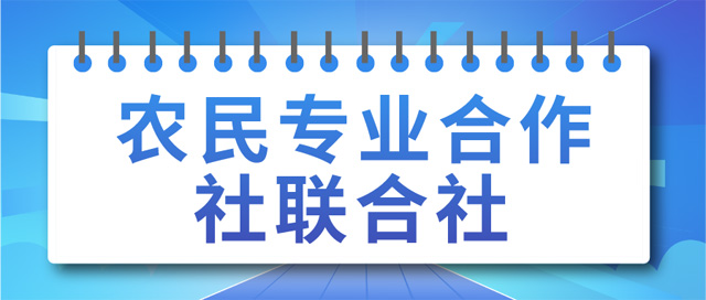 r(nng)񌣘I(y)(lin)O(sh)ӛlʲô